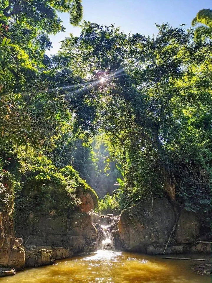 فيلا Retreat Casita On 50-Acre Jungle Sanctuary ماياغيز بيت للعطل