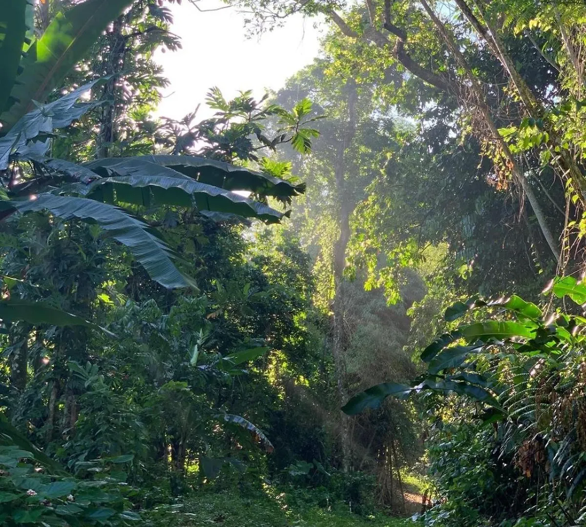 بيت للعطل فيلا Retreat Casita On 50-Acre Jungle Sanctuary ماياغيز